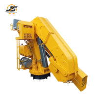 10 T Knuckle Boom Crane