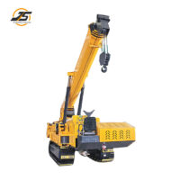 10 Ton Spider Crane