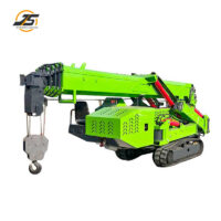 12 Ton Spider Crane